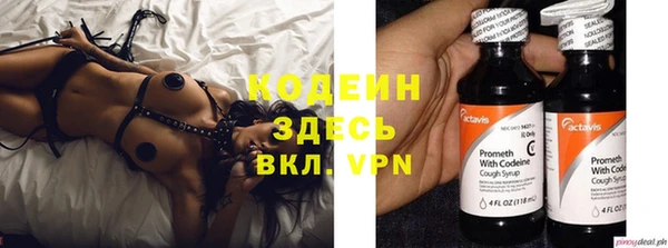 крисы Баксан