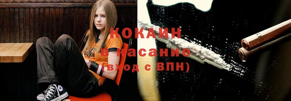 крисы Баксан