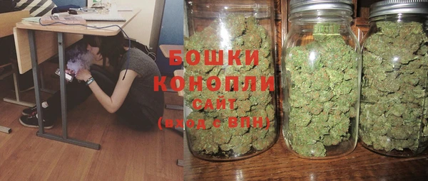 крисы Баксан