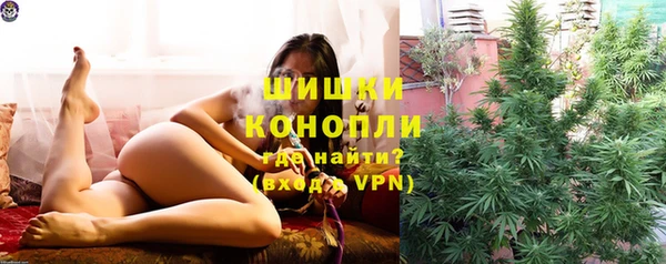 крисы Баксан