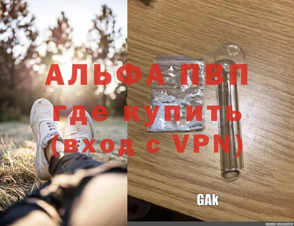 крисы Баксан