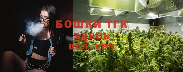 крисы Баксан