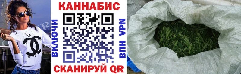 Конопля Amnesia  где купить наркоту  Злынка 